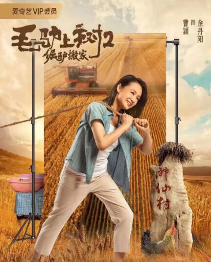 我年纪如何