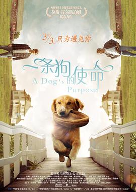 网球少女的追求
