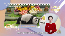 国产午夜精品美女免费大片